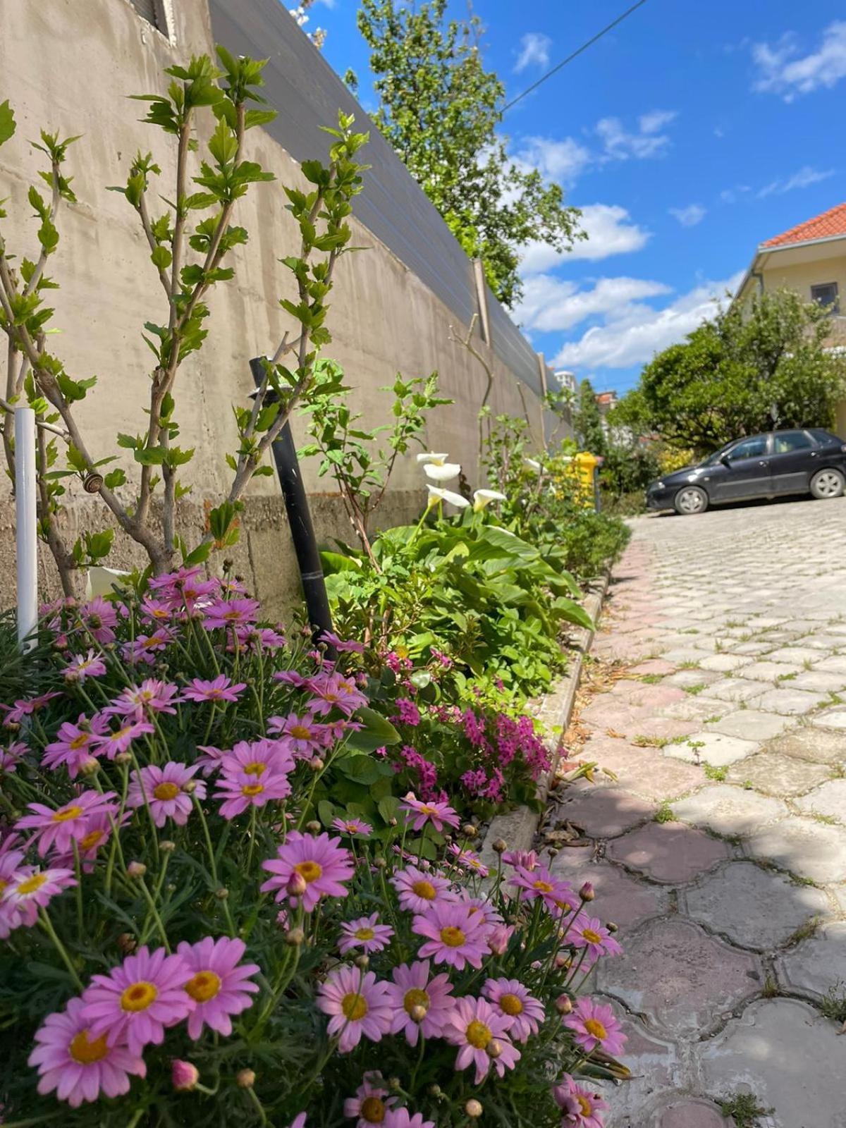 Apartman Mia Kastela Exterior photo